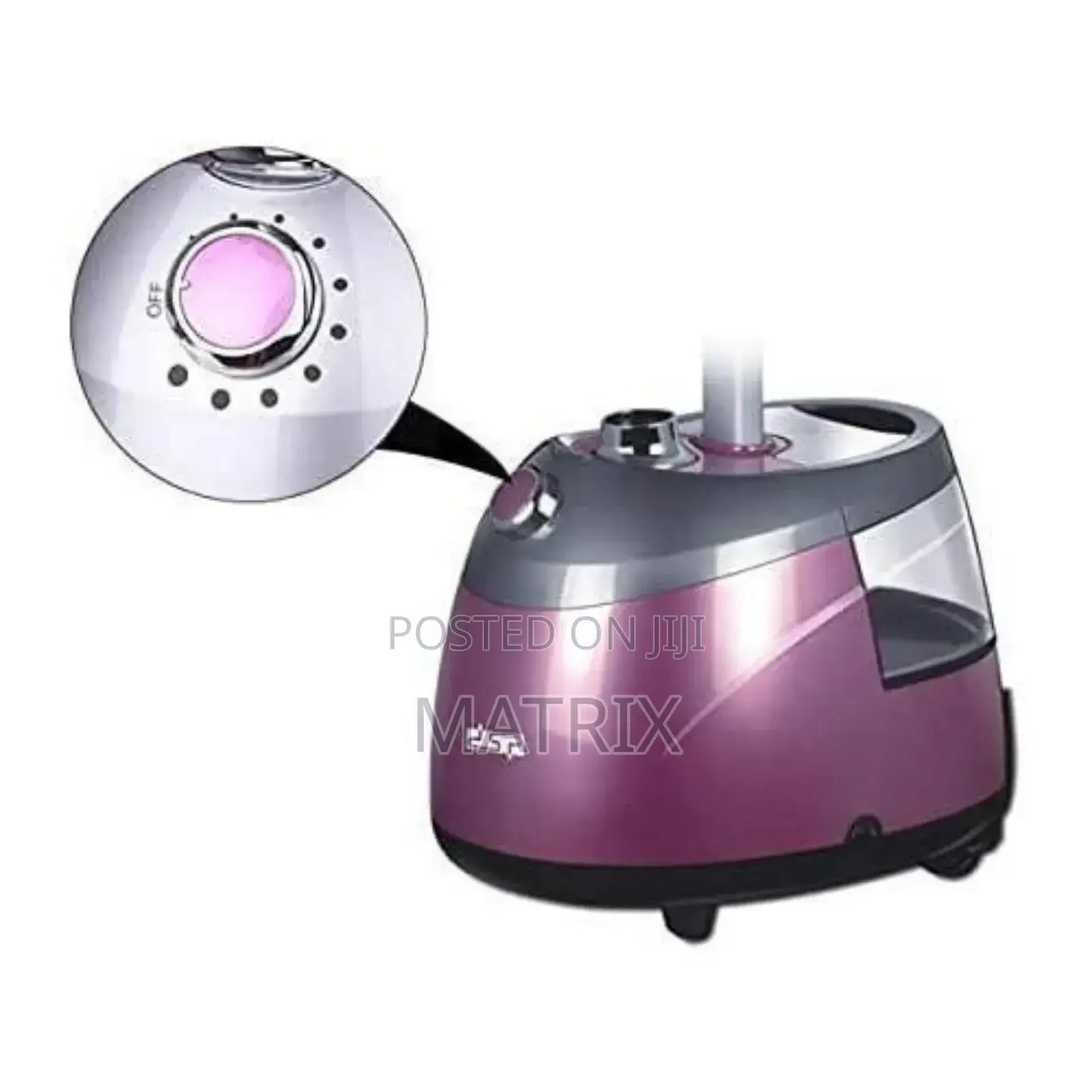 DSP Professional Garment Steamer, Model Kd601