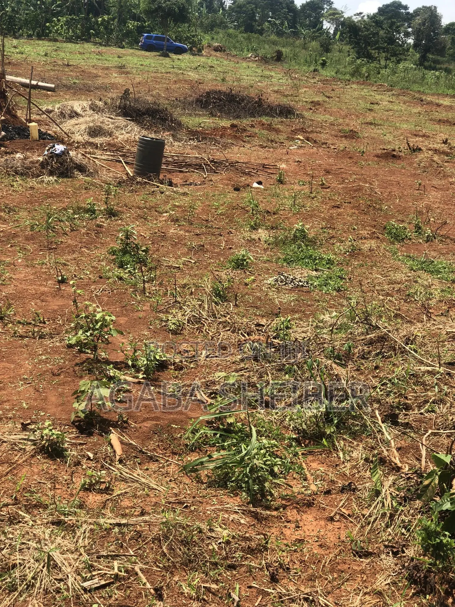 Plots for Sale