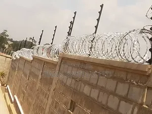Electric Fence With Razorwire 247hrs