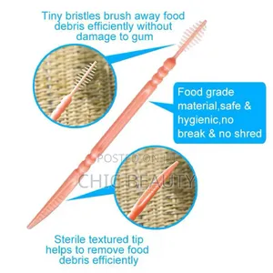 Super Flexible Food Grade Tooth Picks With Inter Dental Brushes 200 Pc