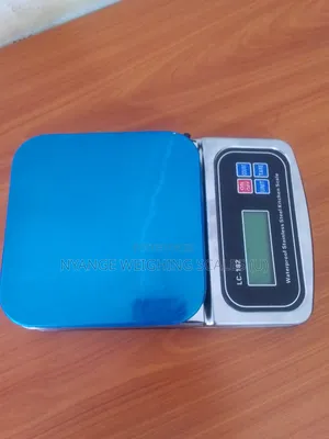 Electronic Stainless Weigh 5kg Weighing Scale Digital Weighing Scale