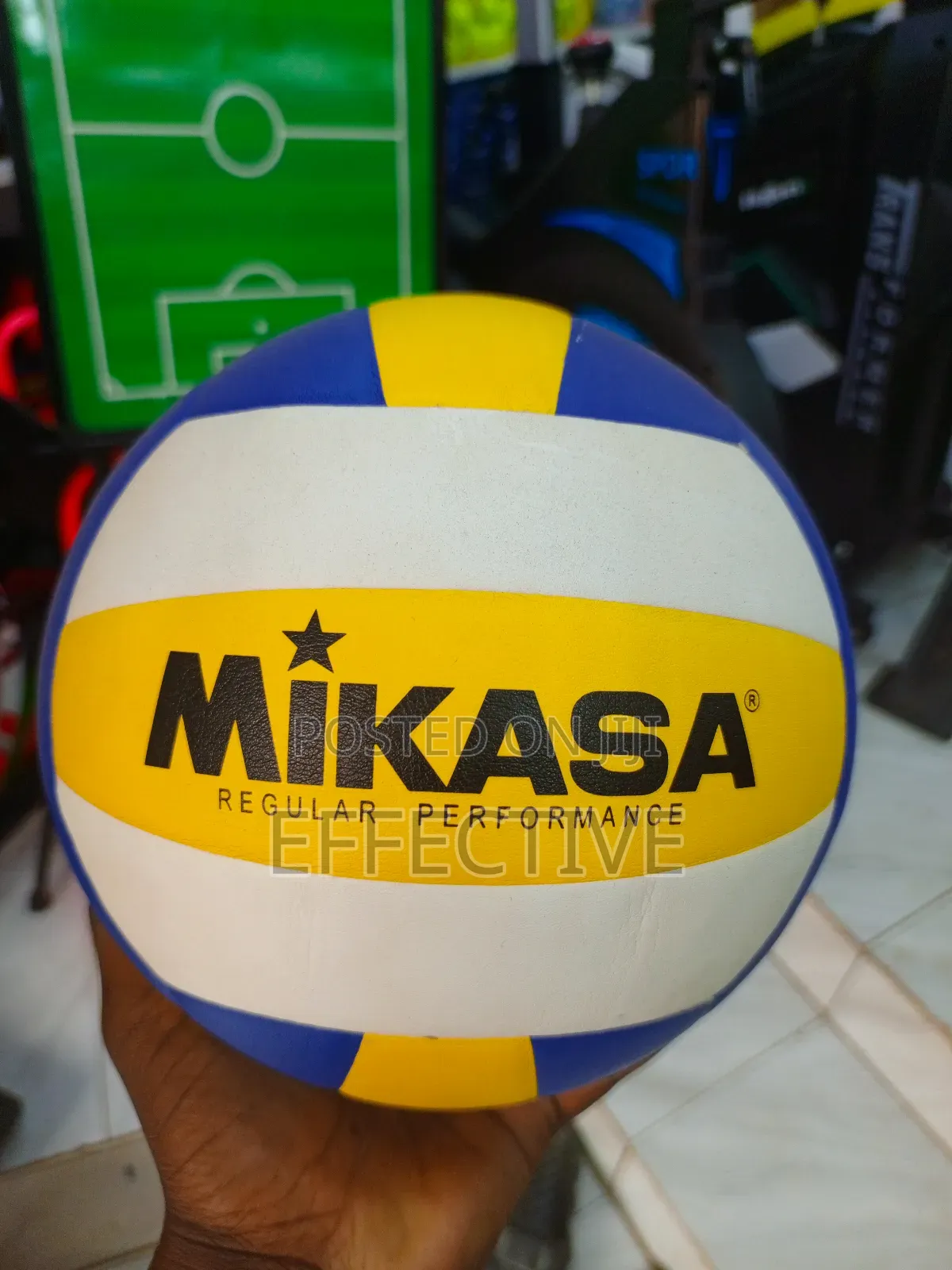 Mikasa Volleyball