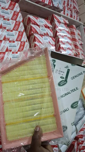 Range Rover Air Filters