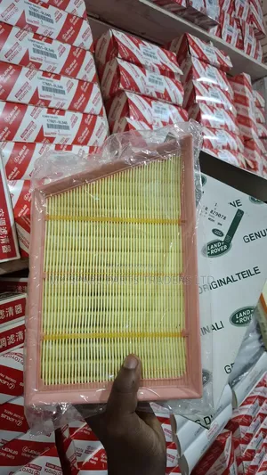 Range Rover Air Filters