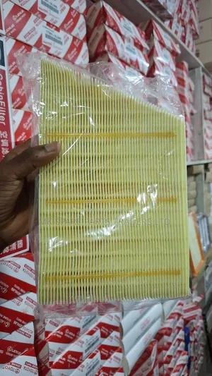 Range Rover Air Filters