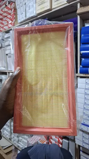 Range Rover Sport Air Filters