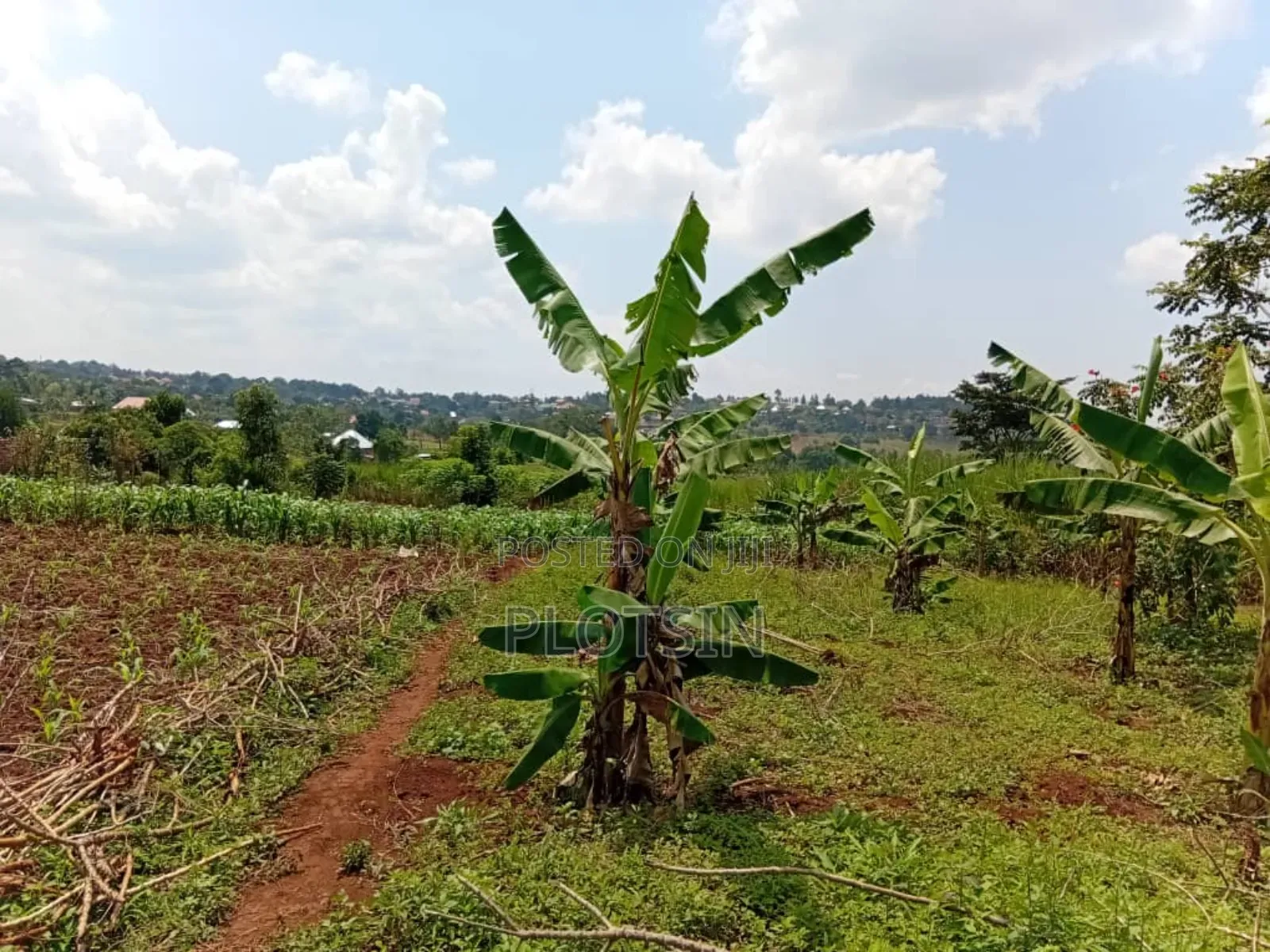50x100ft Plot – Kyamagwa, Mafubira,Jinja City