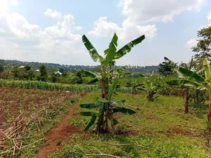 50x100ft Plot – Kyamagwa, Mafubira,Jinja City