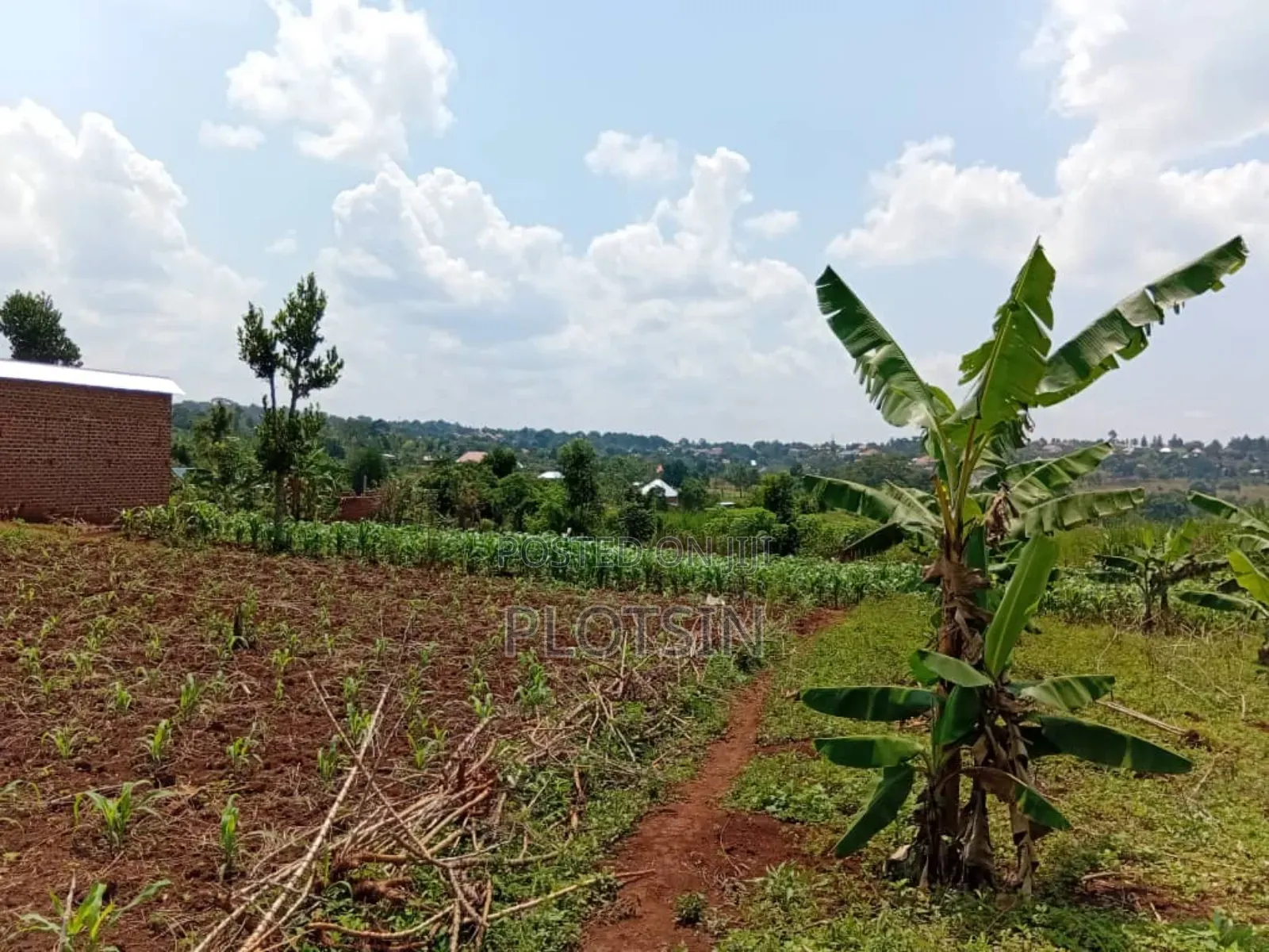 50x100ft Plot – Kyamagwa, Mafubira,Jinja City