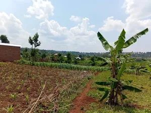 50x100ft Plot – Kyamagwa, Mafubira,Jinja City