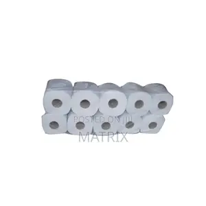 Toilet Paper 10 Roll