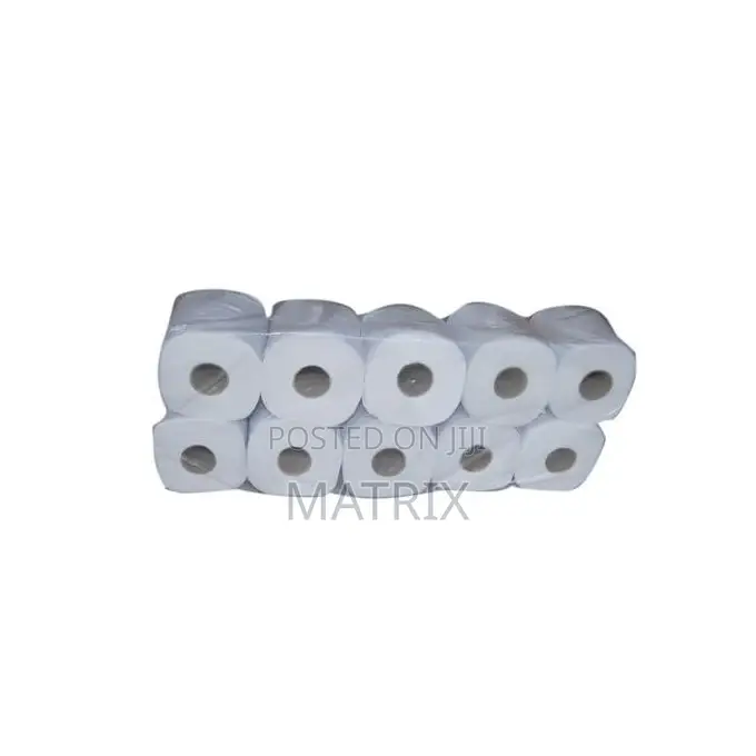 Toilet Paper 10 Roll