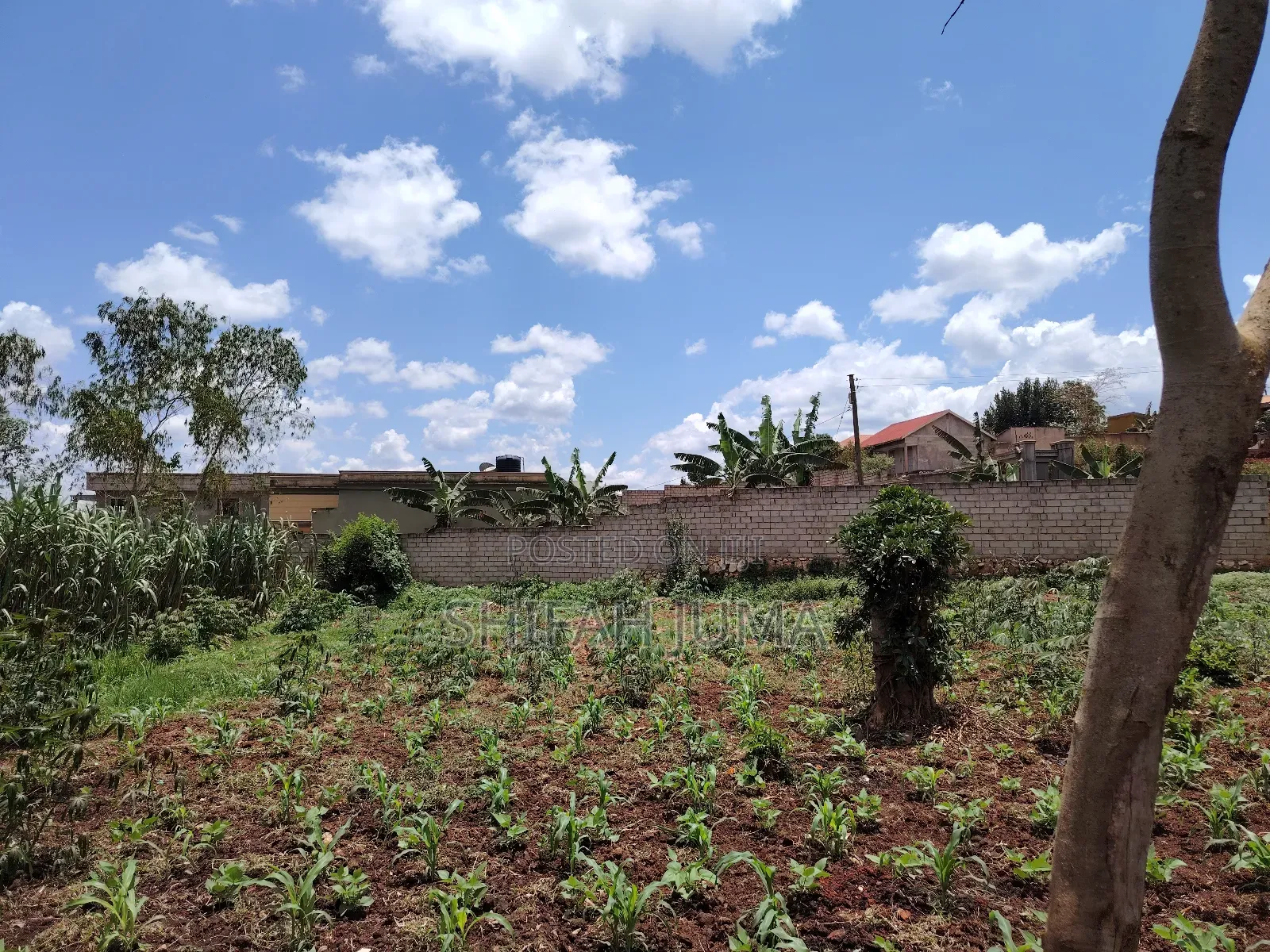 Titled Land for Sale