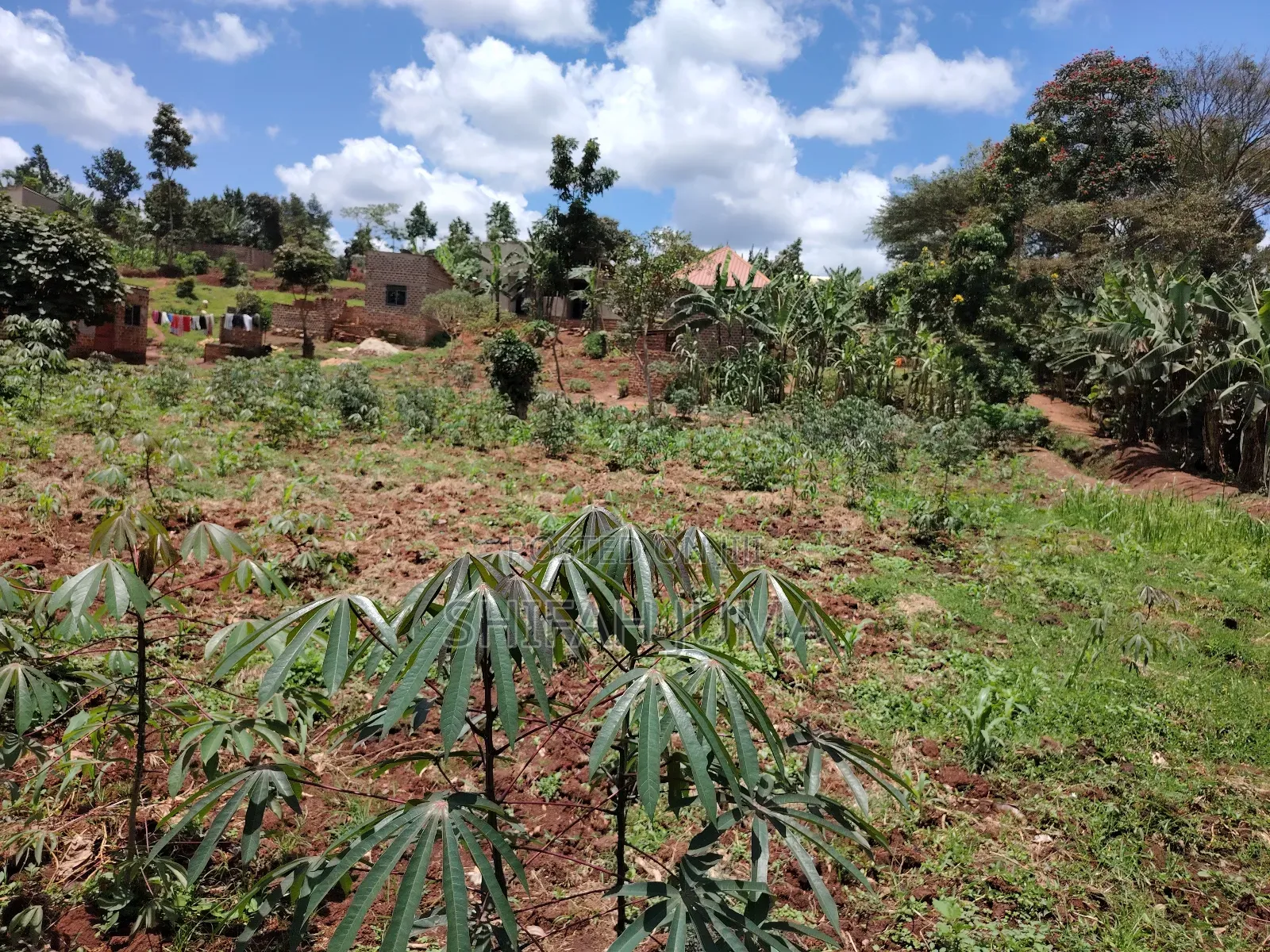 Titled Land for Sale