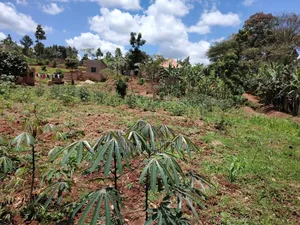 Titled Land for Sale