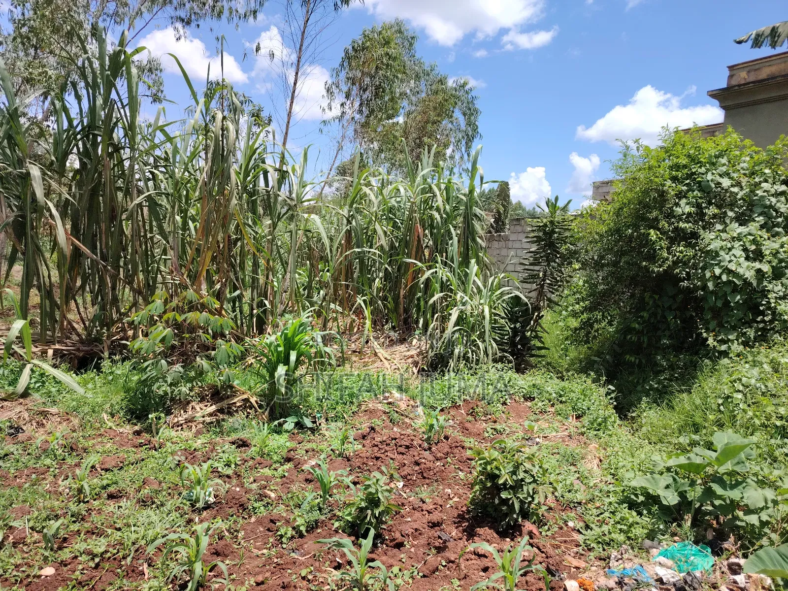 Titled Land for Sale