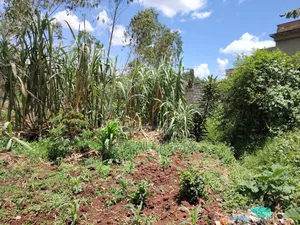 Titled Land for Sale