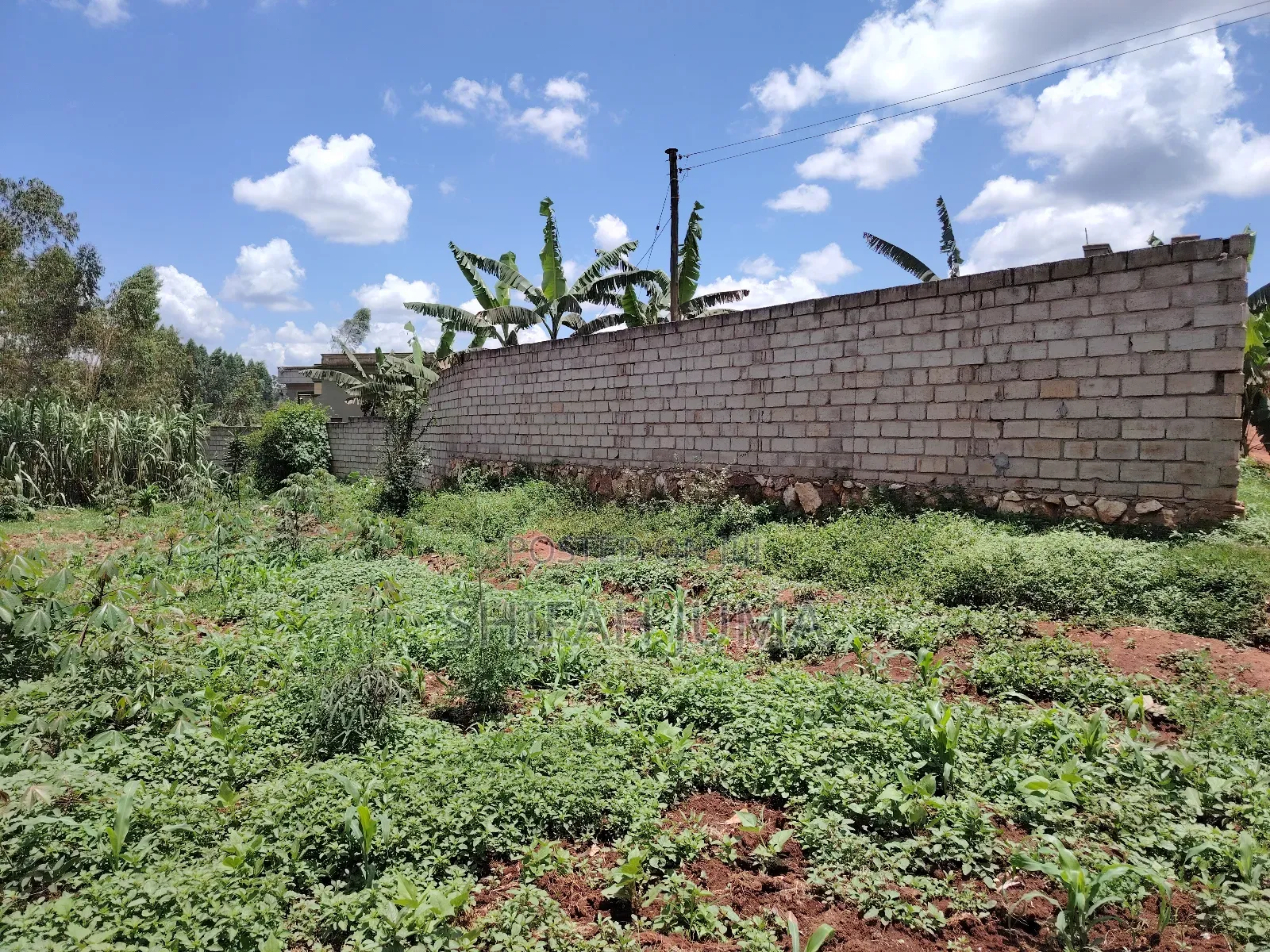 Titled Land for Sale