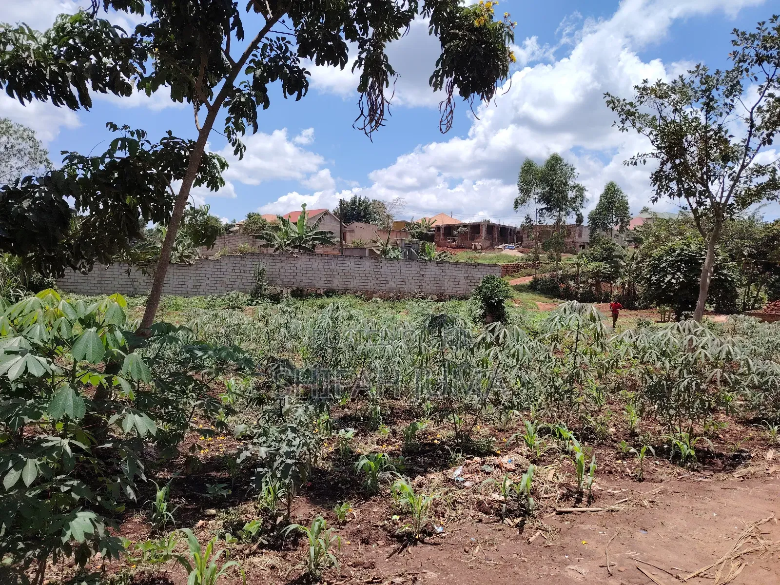 Titled Land for Sale
