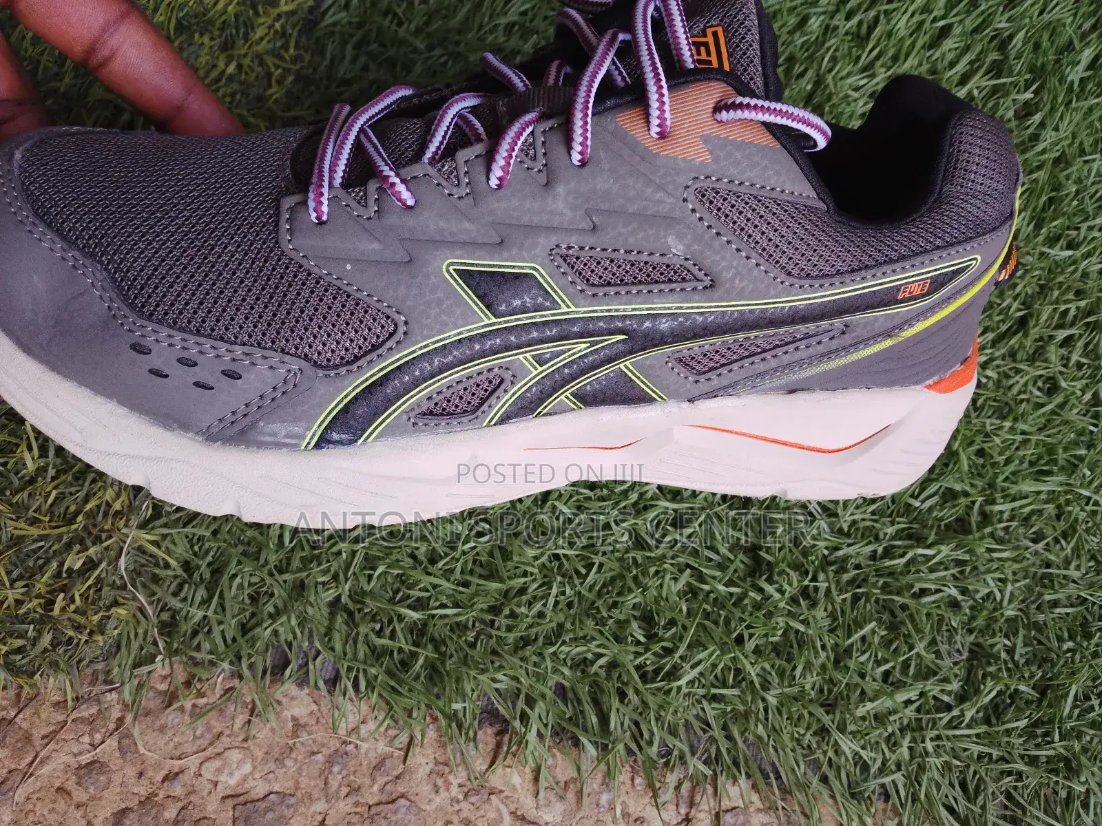 Gym Shoe Original