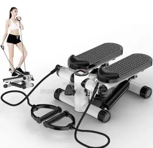 2 in 1 Mini Steeper With Resistance