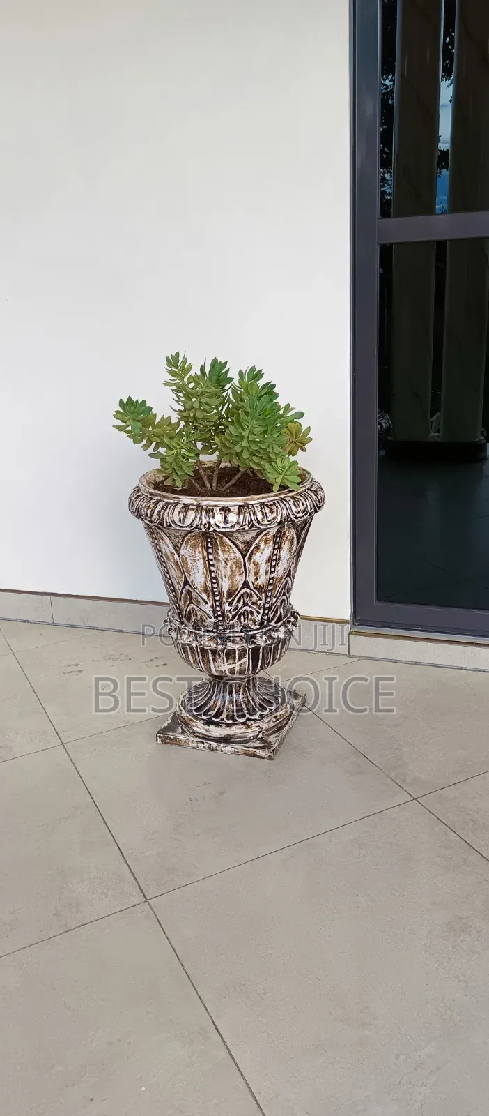 Amazing Flowers and Plants Bringing Nature to Your Door Steps