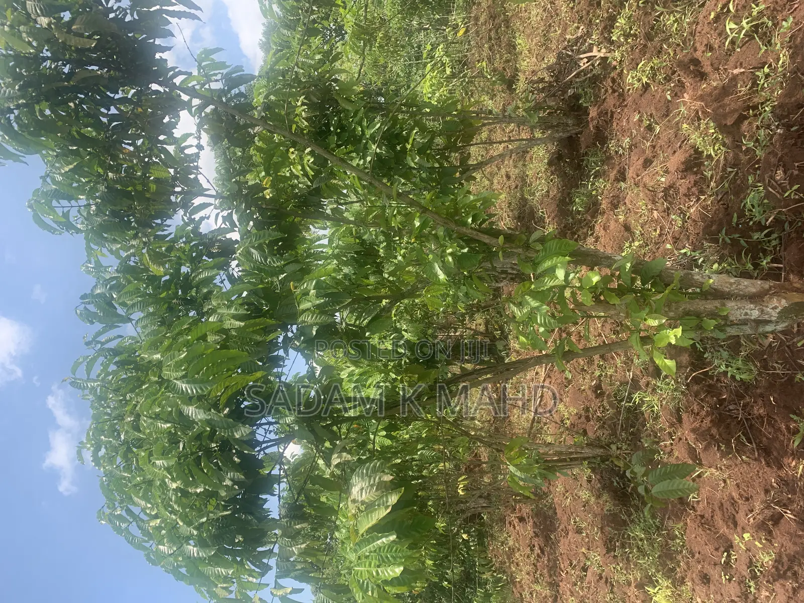 125/140fts Plot on Sale