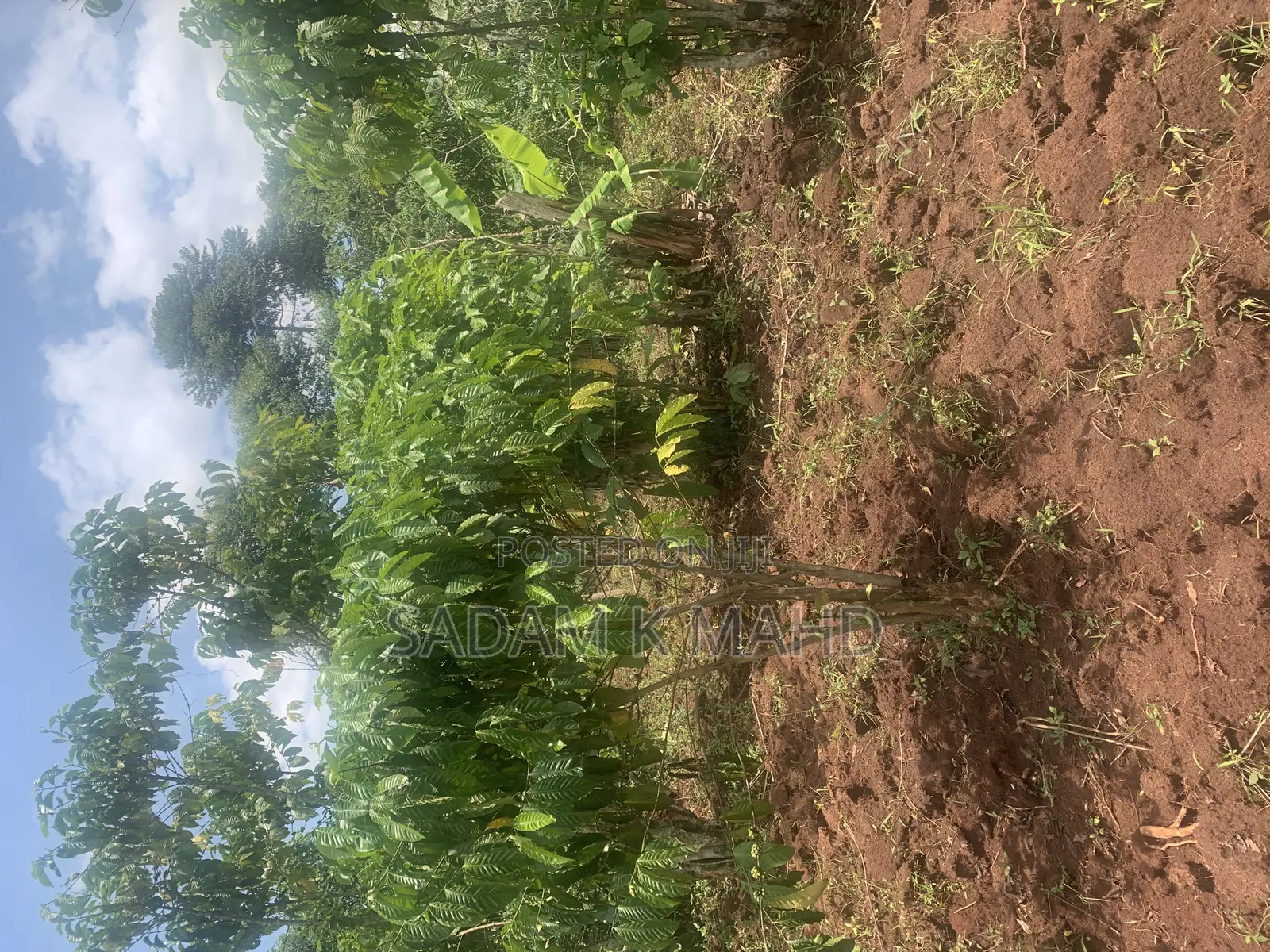 125/140fts Plot on Sale