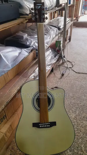 Acoustic Powered Guitar
