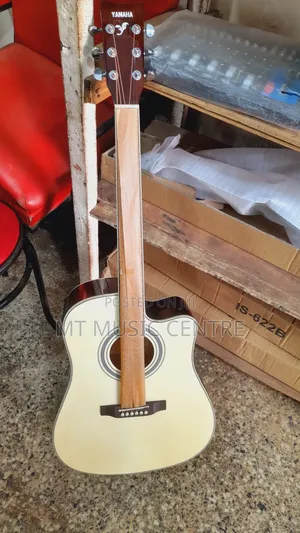Acoustic Powered Guitar