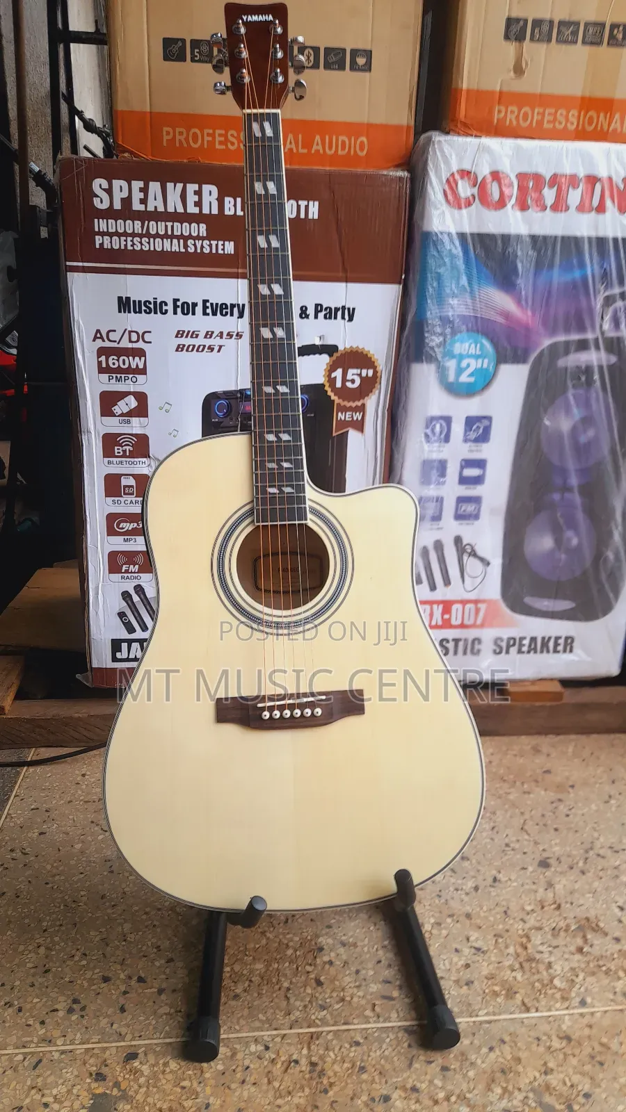 Acoustic Powered Guitar