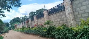 Hedges That Enhance Your Out Door Space.