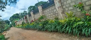 Hedges That Enhance Your Out Door Space.