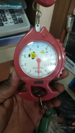 10kg Weighing Portable Numeral Pointer Spring Balance Hanging Scale