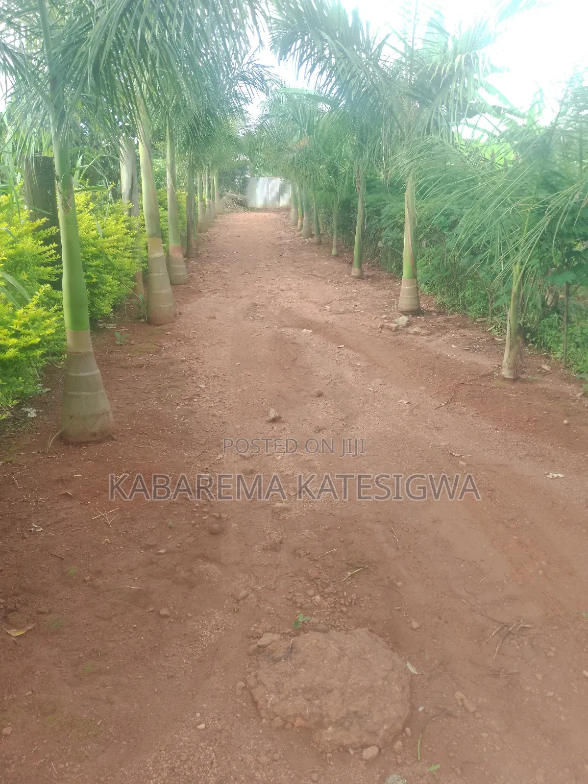 3bdrm House in Private Owned, Ssisa for sale