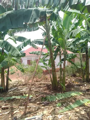 3bdrm House in Private Owned, Ssisa for sale