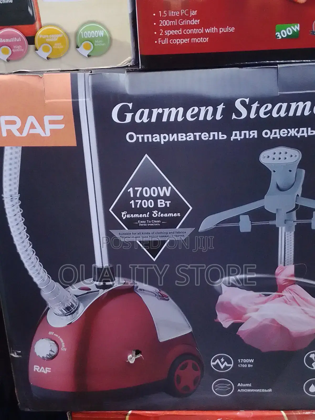 Garment Steamer Raf