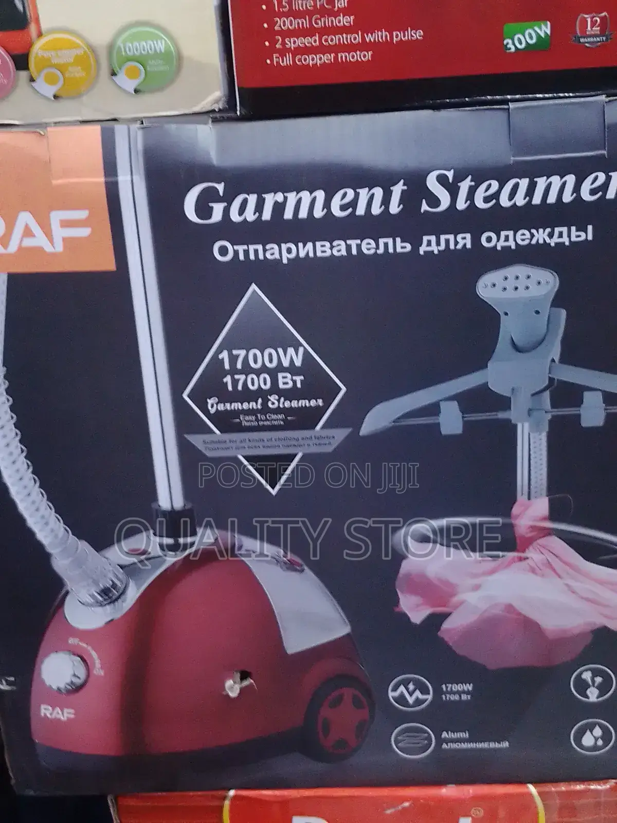 Garment Steamer Raf