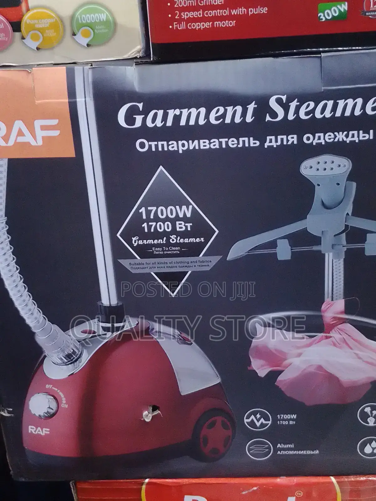 Garment Steamer Raf