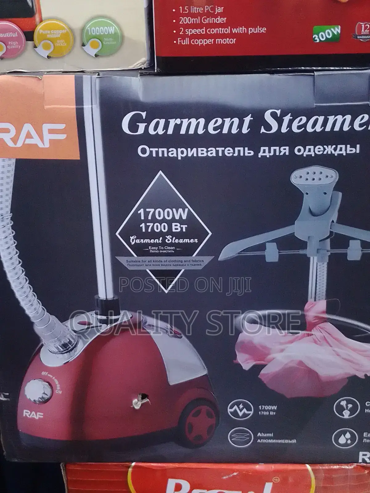 Garment Steamer Raf