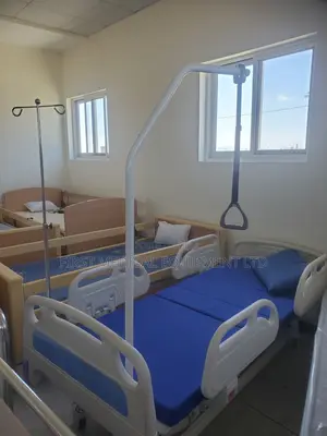 Orthopedic Bed