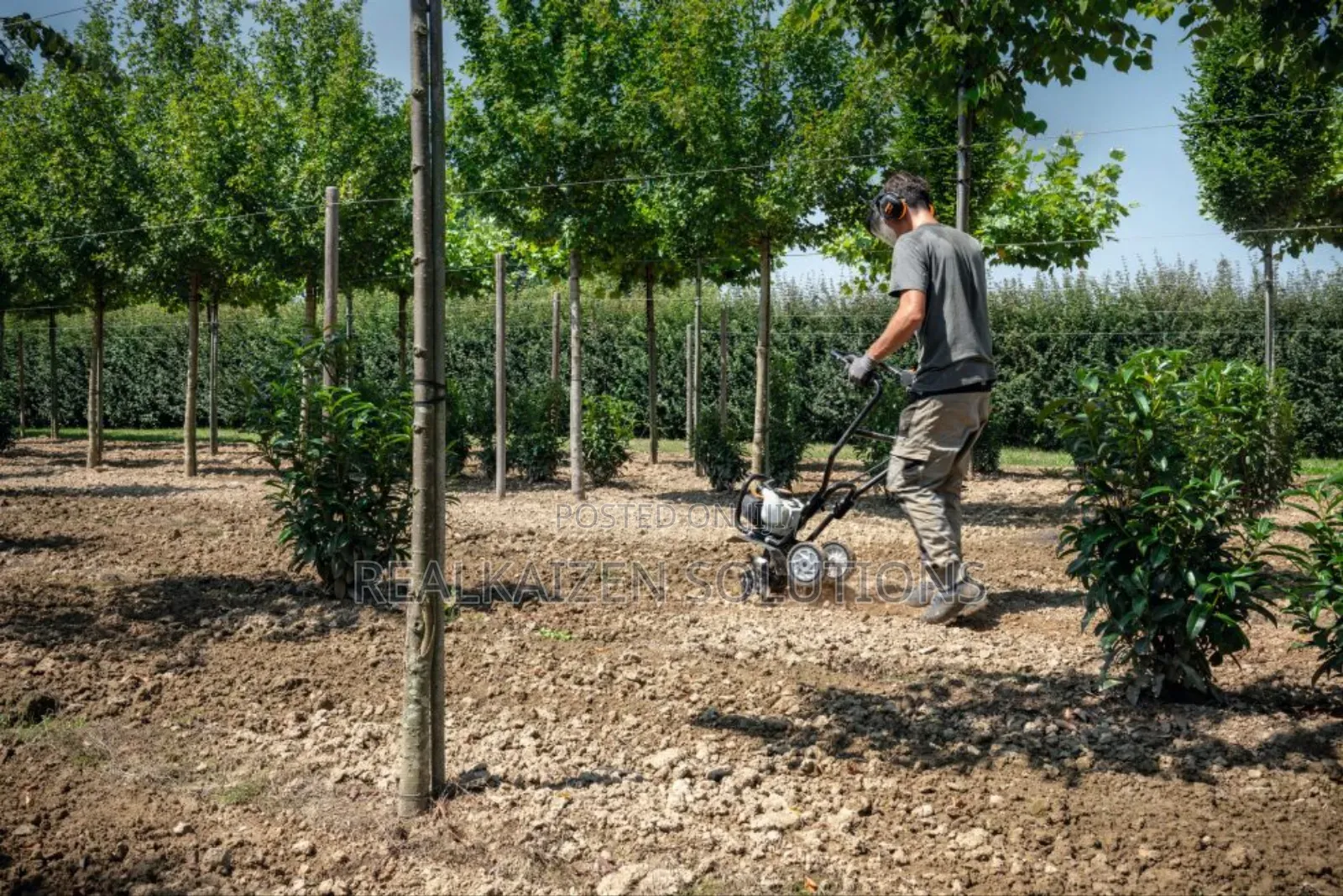 German Stihl Petrol Powered Tiller| Weeder| Cultivator|Rotavator