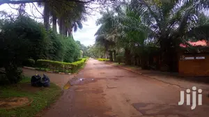 Three Bedroom House For Rent