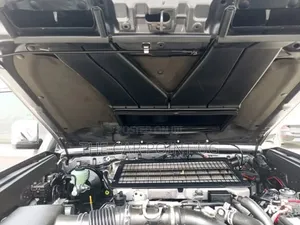 Toyota Land Cruiser 2024 Gray