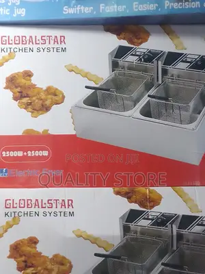 Electric Deep Fryer