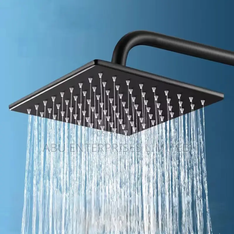 Shower Head Stainless Steel