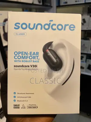 Anker Soundcore V30i