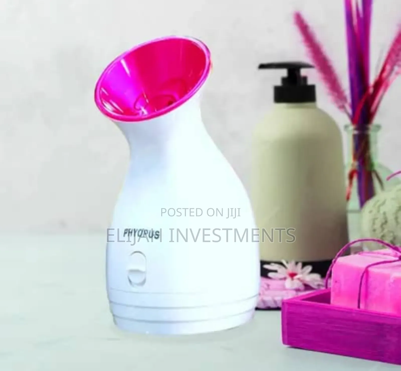 Professional Spa Home Face Steamer