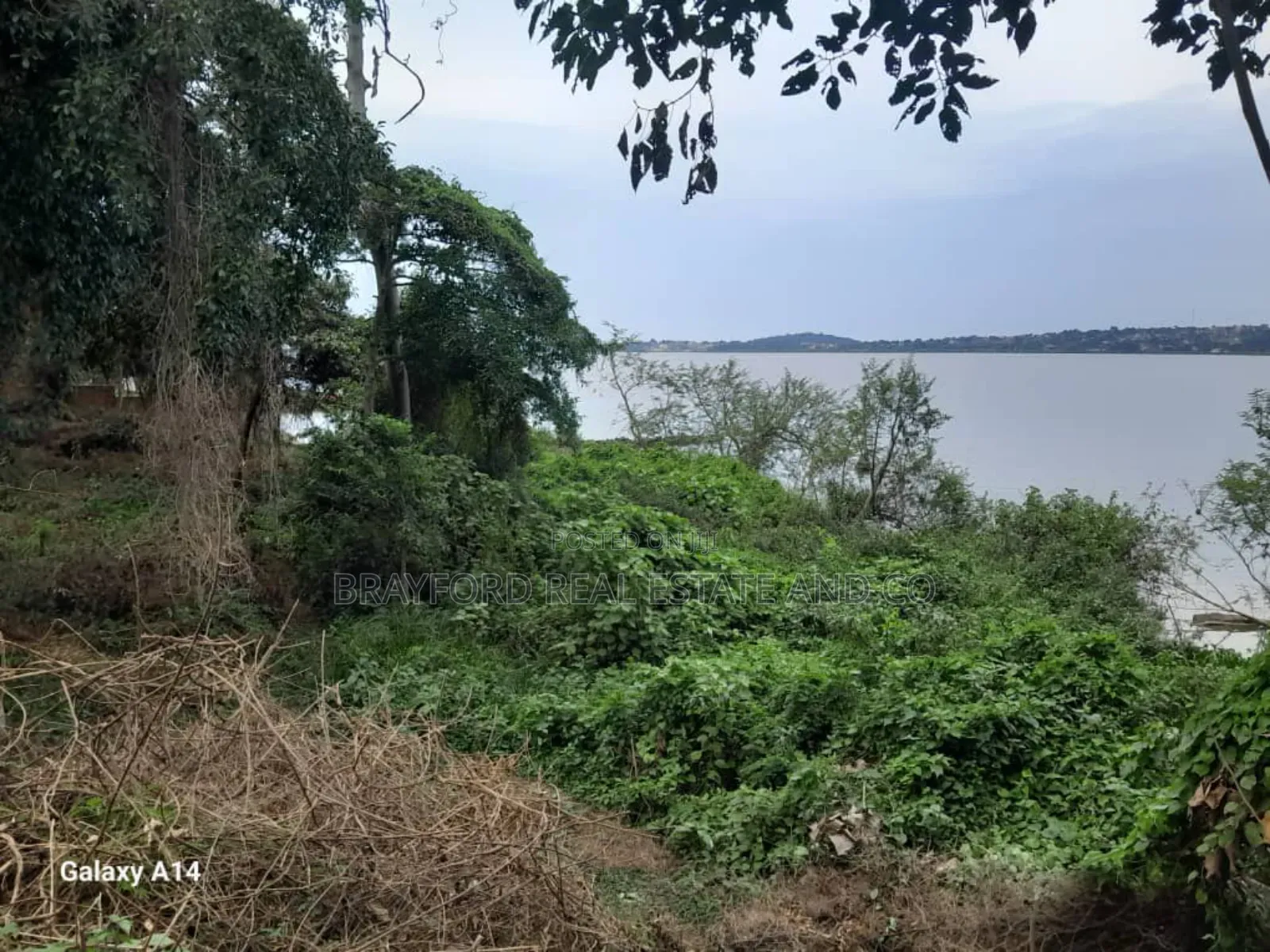 5 Acres for Sale