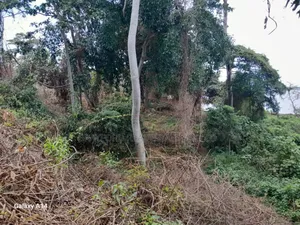 5 Acres for Sale